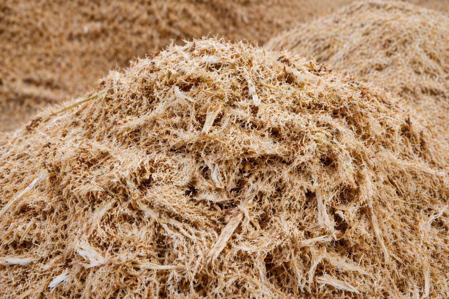 Sugarcane Bagasse Stockpile